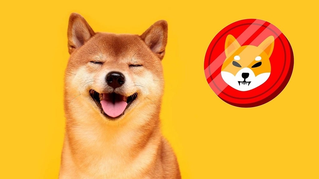 shiba-inu-Doughvest